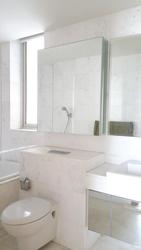 Tribeca (D9), Condominium #148581282